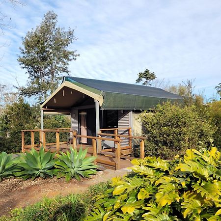 Southern Sky Glamping Mount Tamborine Dış mekan fotoğraf